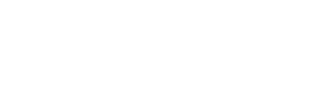 Tho, Ng & Partners